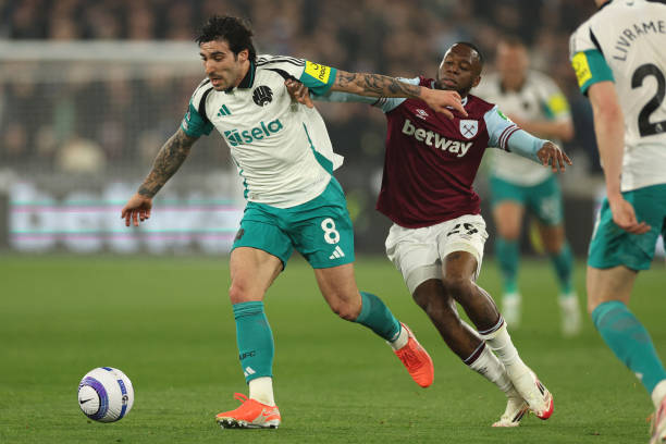 在比赛中 在比赛中